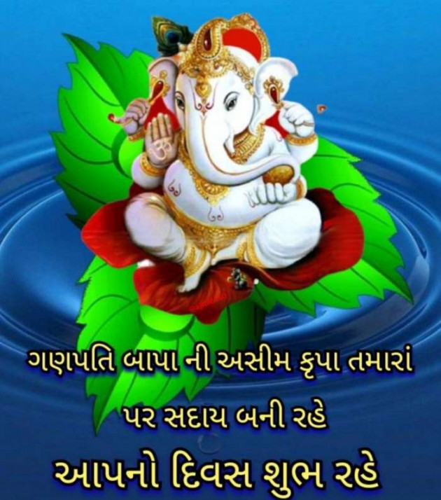 Gujarati Whatsapp-Status by Zala Jayvirsinh : 111846015