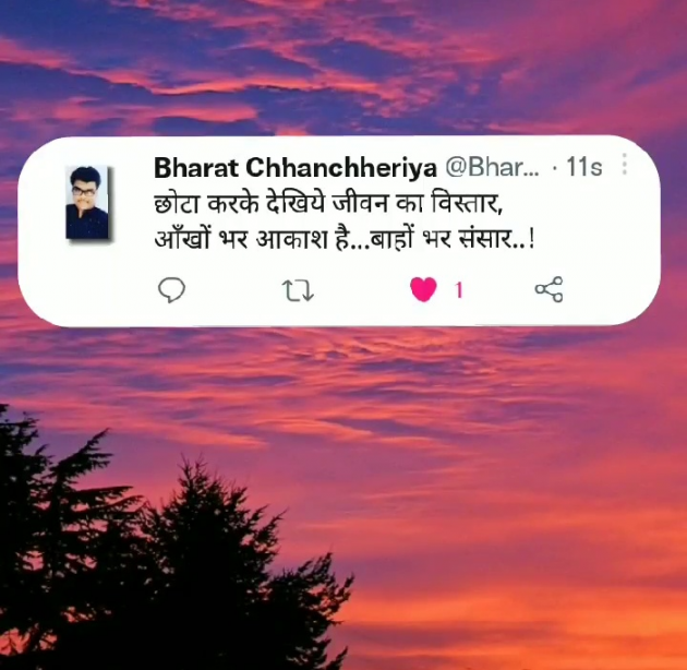 English Shayri by Bharat Chhanchheriya : 111846128