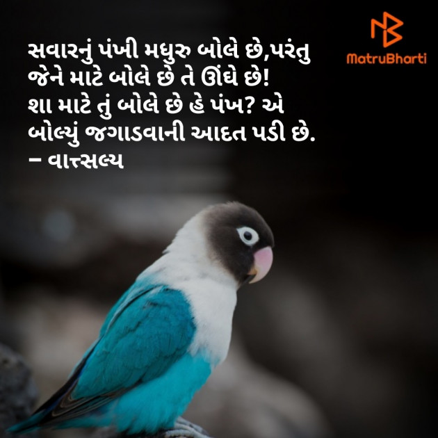 Gujarati Shayri by वात्सल्य : 111846185