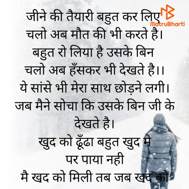 Hindi Poem by Meera Singh : 111846313