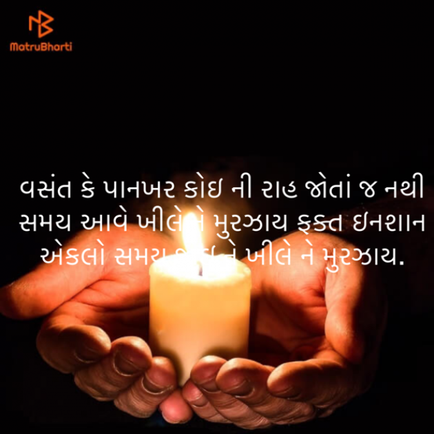 Gujarati Blog by ek archana arpan tane : 111846848