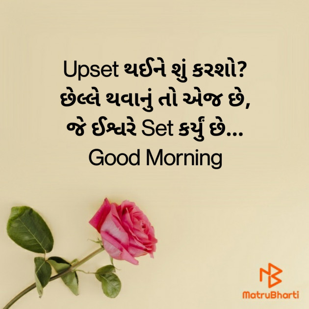 Gujarati Good Morning by Nirav Devani : 111847403