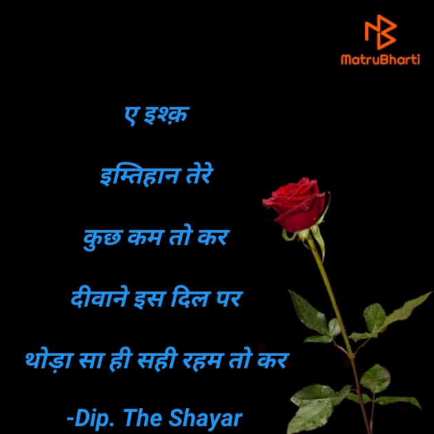 Hindi Shayri by Dip. The Shayar : 111847721