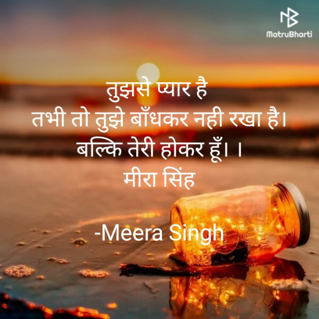 Hindi Quotes by Meera Singh : 111848115