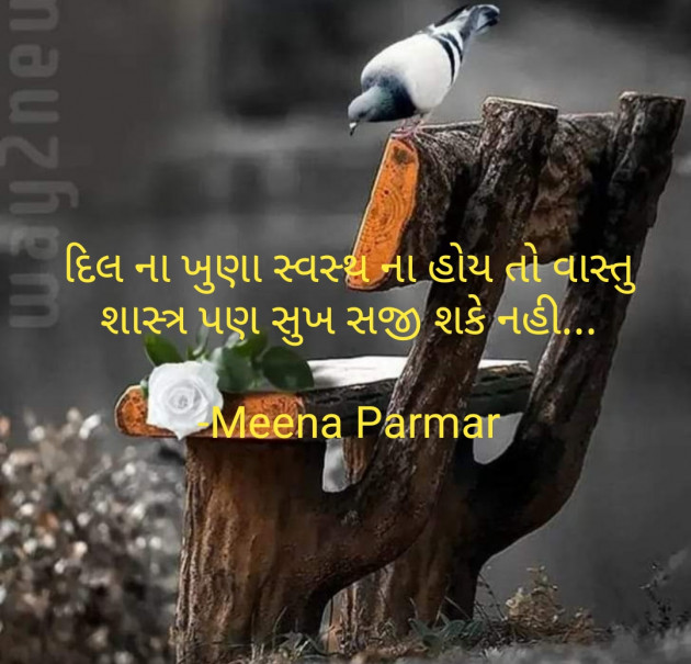 Gujarati Whatsapp-Status by Meena Parmar : 111848255