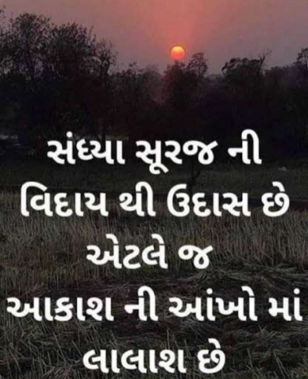 Gujarati Whatsapp-Status by Zala Jayvirsinh : 111848280