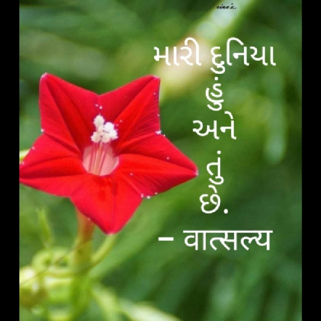 Gujarati Whatsapp-Status by वात्सल्य : 111848665