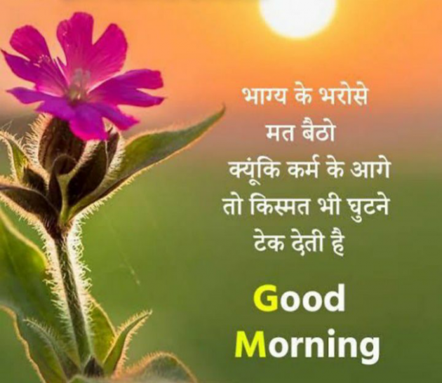 Gujarati Good Morning by Kajal Joshi : 111848681