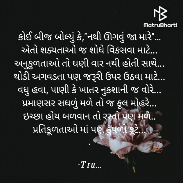 Gujarati Whatsapp-Status by Tru... : 111849013