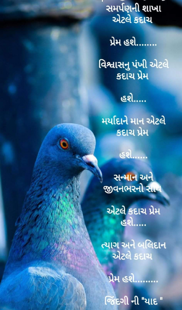 Gujarati Whatsapp-Status by જિંદગી ની યાદ : 111849075