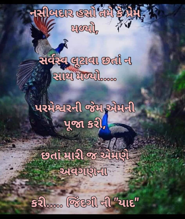 Gujarati Whatsapp-Status by જિંદગી ની યાદ : 111849098