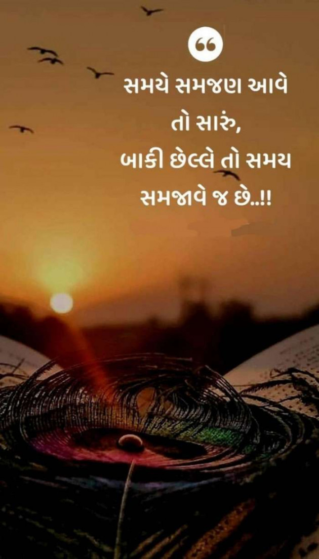 Gujarati Whatsapp-Status by Zala Jayvirsinh : 111849529