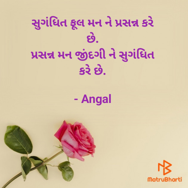 Gujarati Blog by Angel : 111804733