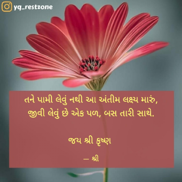 Gujarati Whatsapp-Status by Gor Dimpal Manish : 111850333