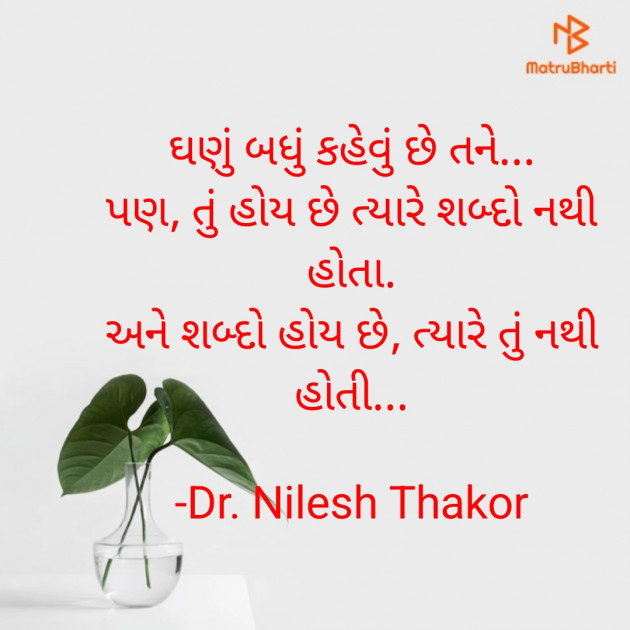 Gujarati Shayri by Dr. Nilesh Thakor : 111850848