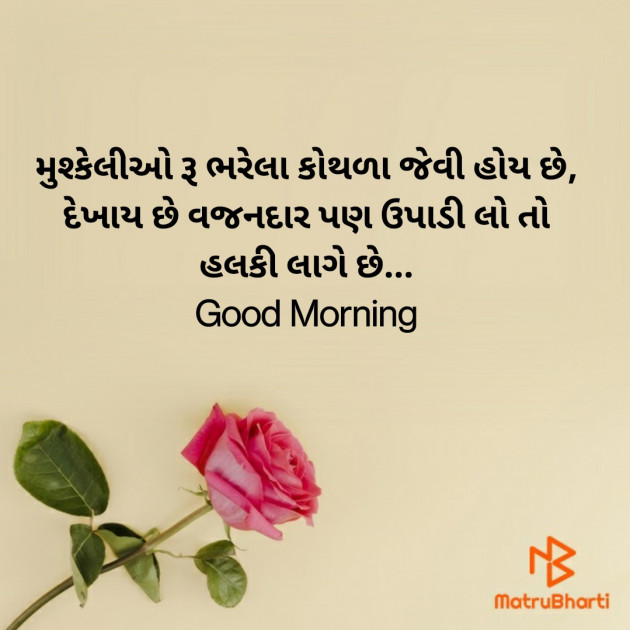 Gujarati Good Morning by Nirav Devani : 111851048