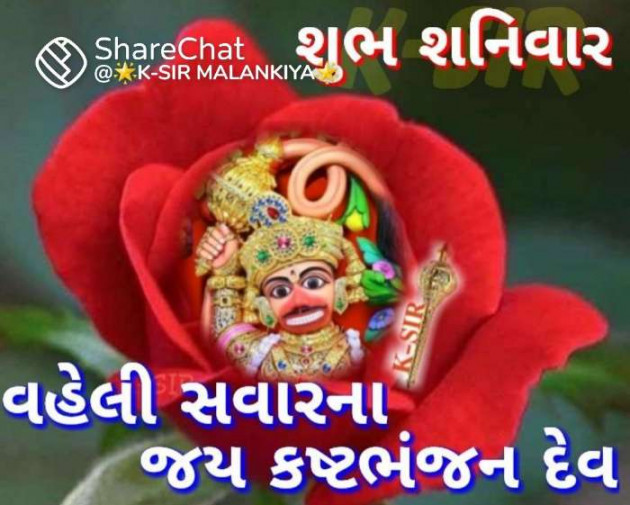 Gujarati Whatsapp-Status by Zala Jayvirsinh : 111851079