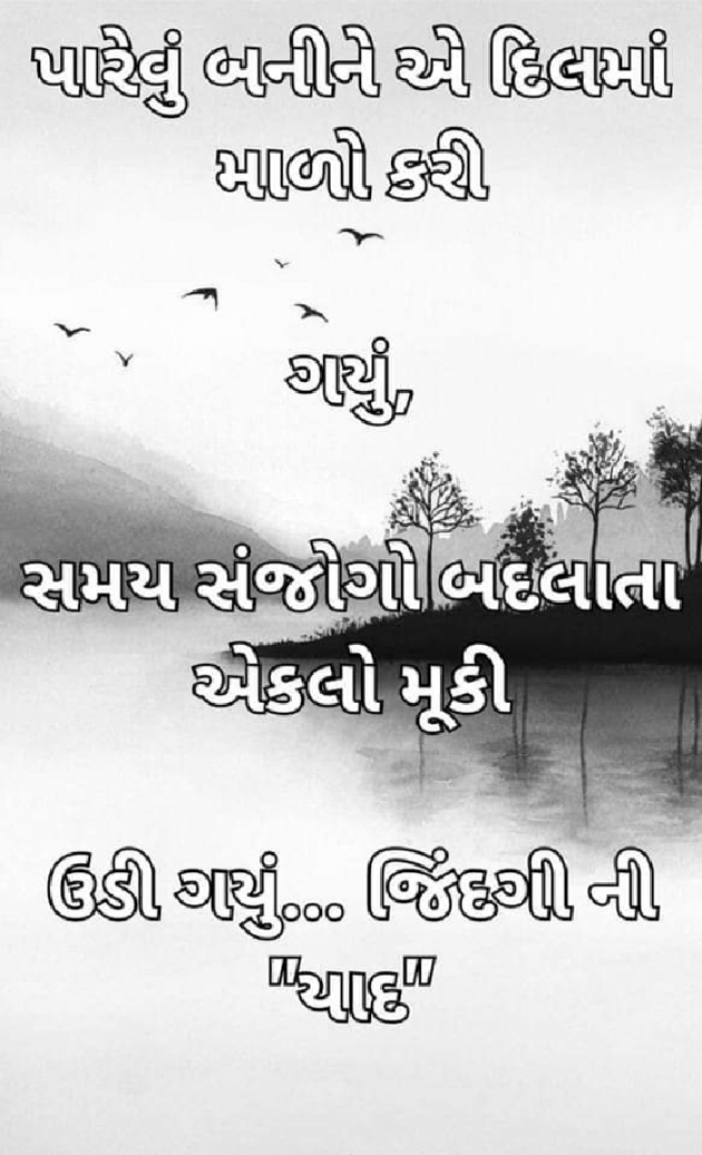 Gujarati Whatsapp-Status by જિંદગી ની યાદ : 111851246