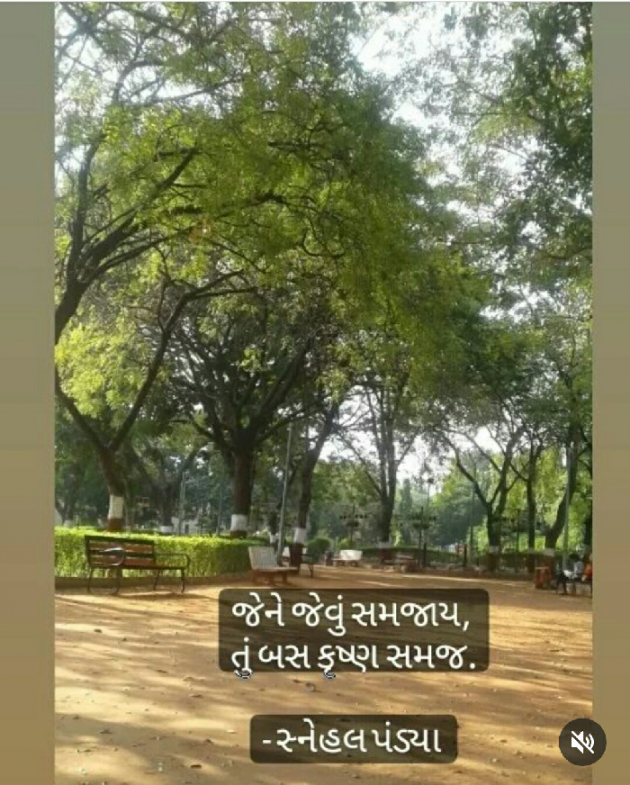 Gujarati Whatsapp-Status by snehal pandya._.soul with mystery : 111851557