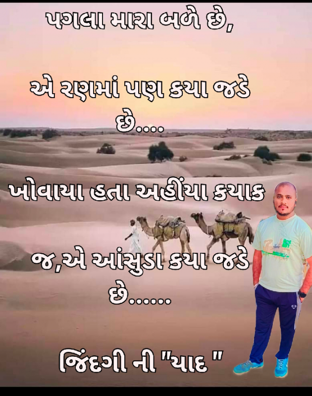 Gujarati Whatsapp-Status by જિંદગી ની યાદ : 111851636