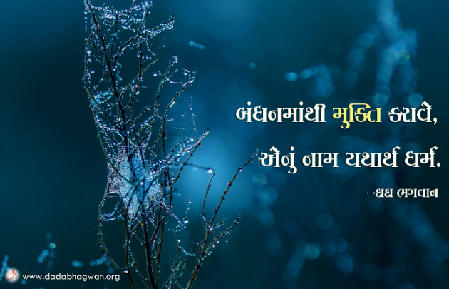 Gujarati Quotes by Dada Bhagwan : 111851721