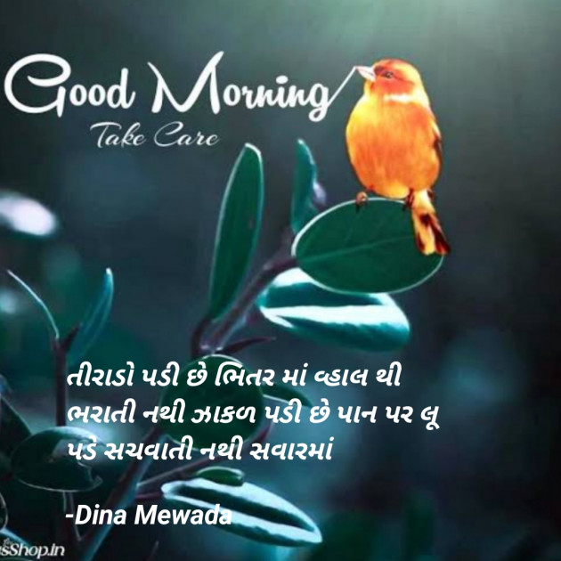 Gujarati Shayri by Dina Mewada : 111851916