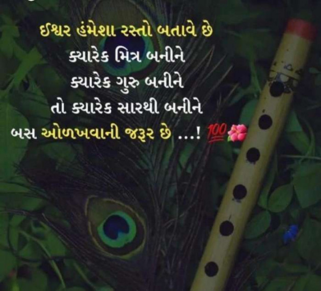 Gujarati Whatsapp-Status by Zala Jayvirsinh : 111852035