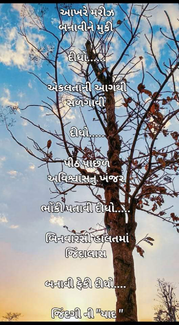 Gujarati Whatsapp-Status by જિંદગી ની યાદ : 111852375