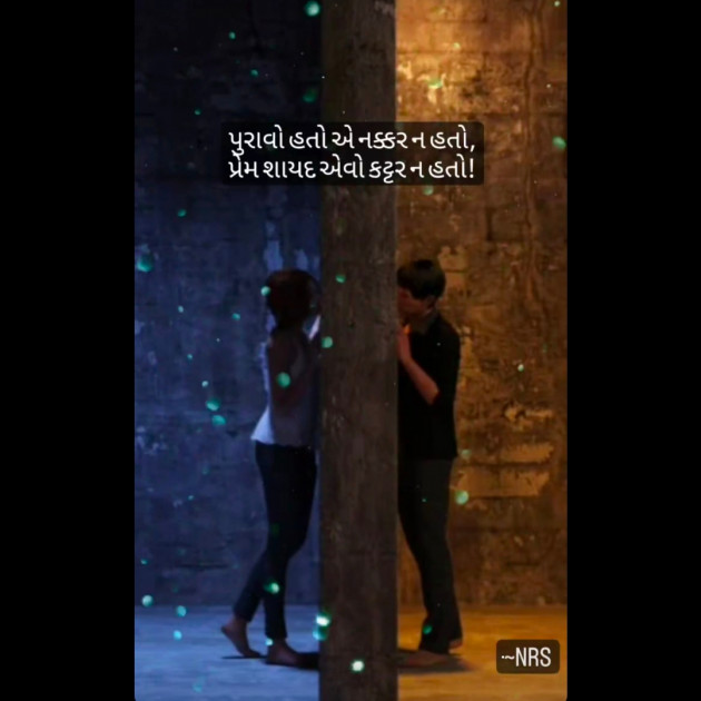 Gujarati Shayri by Nency R. Solanki : 111852476