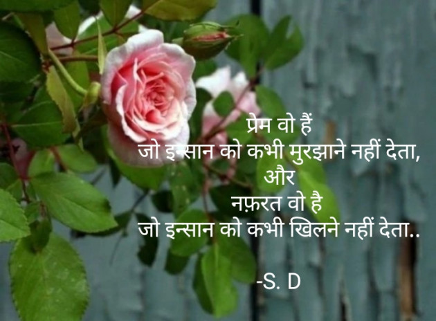 Hindi Whatsapp-Status by Sangeeta Dungariya : 111853345