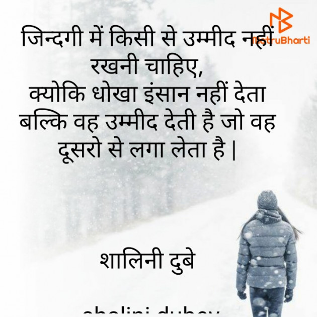 Hindi Quotes by Shalini Dubey : 111853597