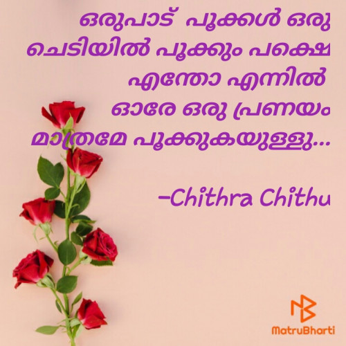 Post by Chithra Chithu on 09-Jan-2023 10:23pm