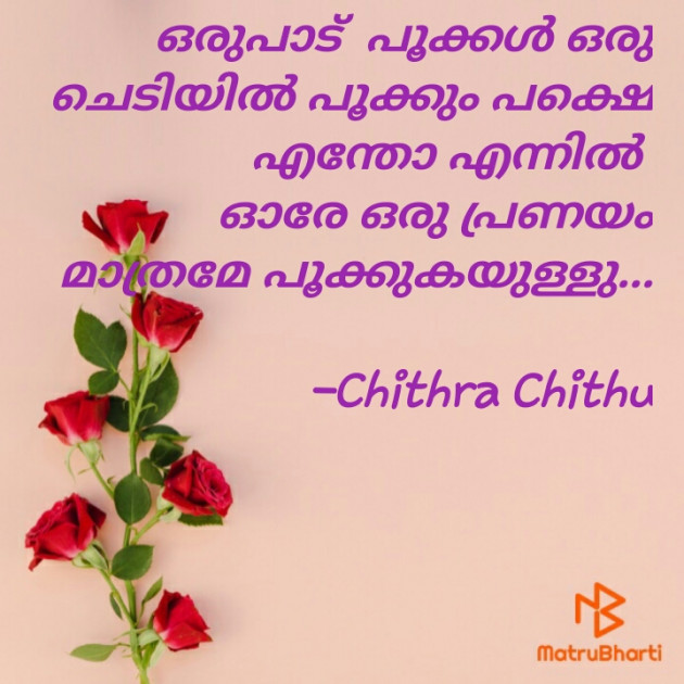 Malayalam Romance by Chithra Chithu : 111853701