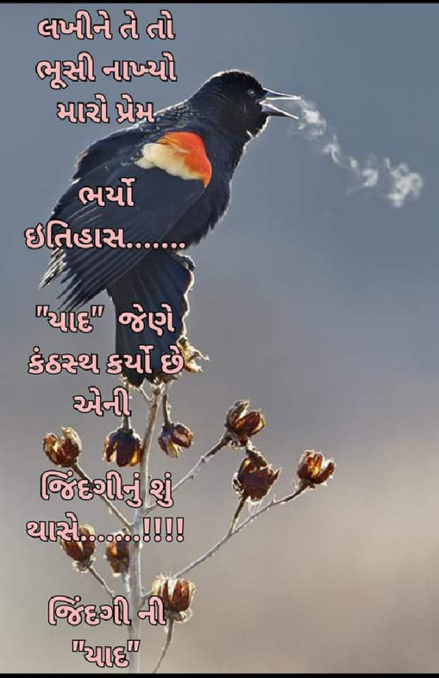 Gujarati Whatsapp-Status by જિંદગી ની યાદ : 111853859