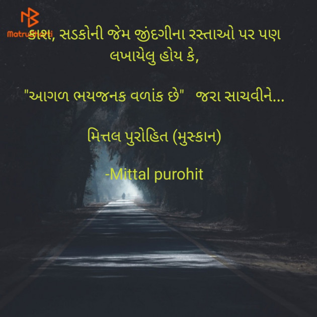 Gujarati Blog by Mittal purohit : 111853951