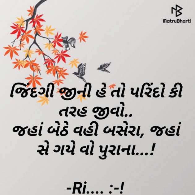 Gujarati Shayri by Riddhi Trivedi : 111854033