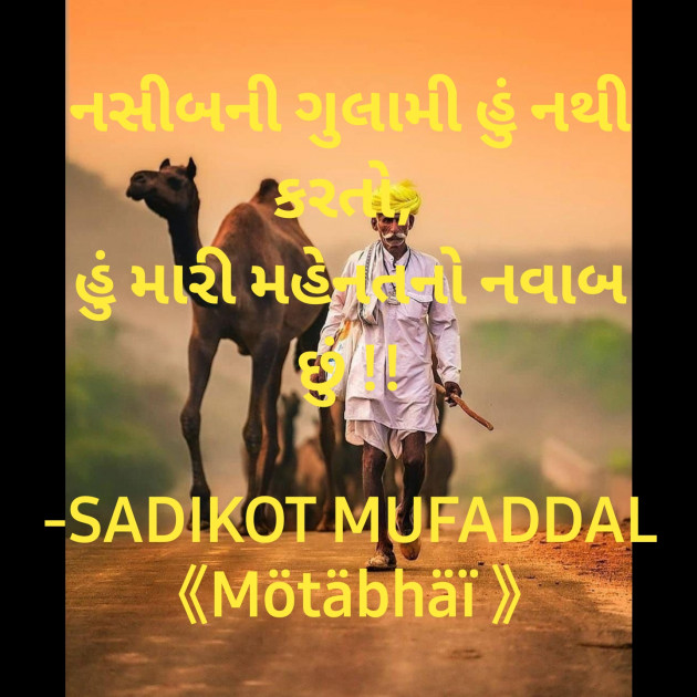 Gujarati Good Morning by SADIKOT MUFADDAL 《Mötäbhäï 》 : 111854115