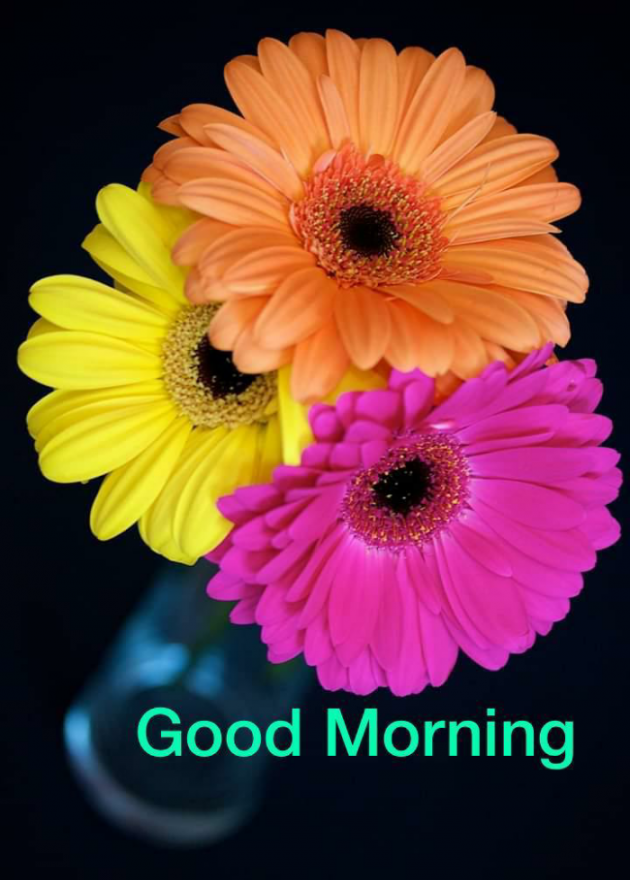 English Good Morning by Dr. Bhairavsinh Raol : 111854123