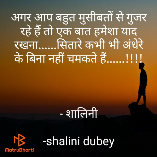 Hindi Motivational by Shalini Dubey : 111854786