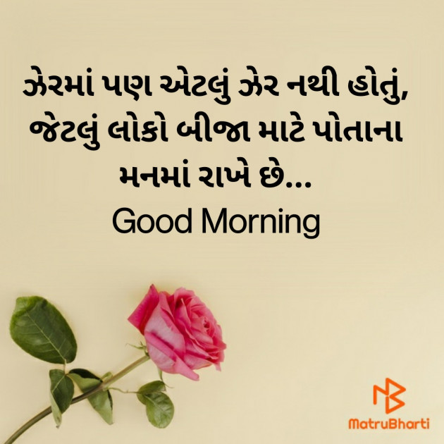 Gujarati Good Morning by Nirav Devani : 111855327