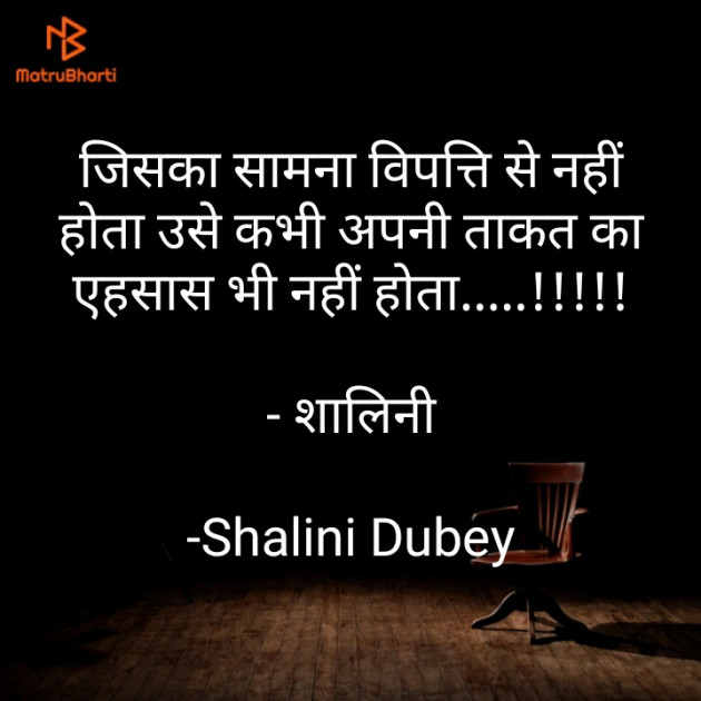 Hindi Motivational by Shalini Dubey : 111855354