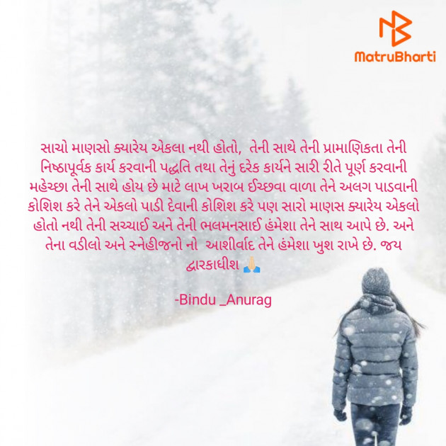 Gujarati Blog by Bindu _Maiyad : 111856218