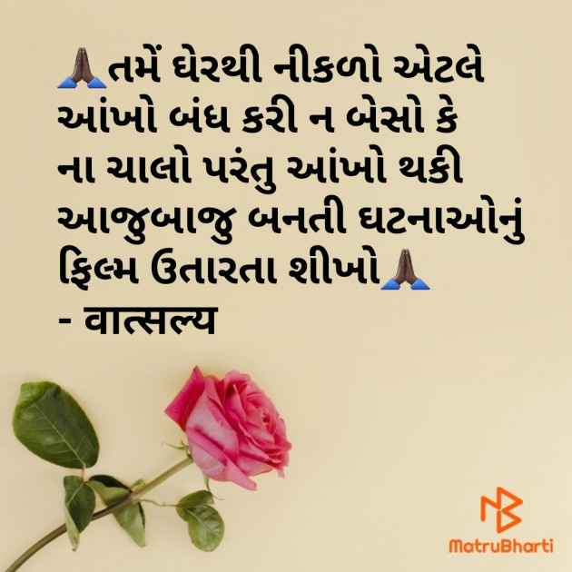 Gujarati Quotes by वात्सल्य : 111856780