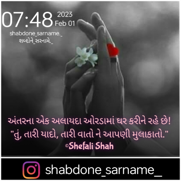 Gujarati Whatsapp-Status by Shefali : 111857400