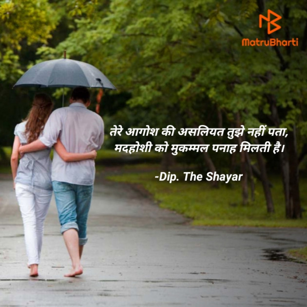 Hindi Shayri by Dip. The Shayar : 111857496