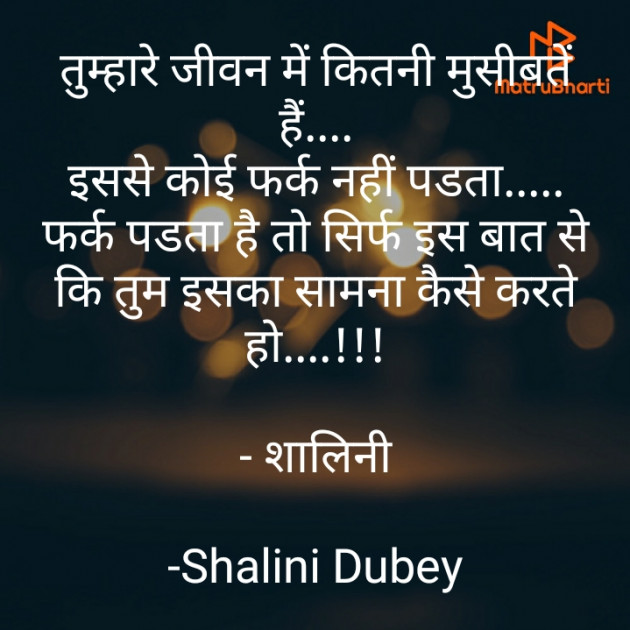 Hindi Motivational by Shalini Dubey : 111857598