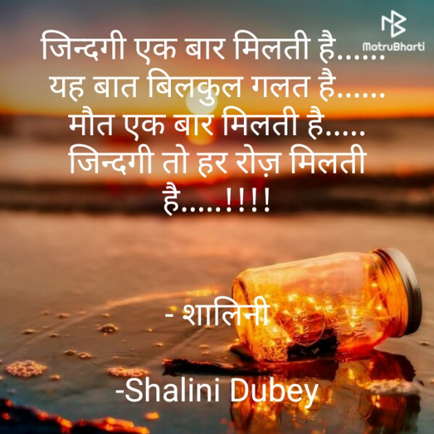 Hindi Motivational by Shalini Dubey : 111857752