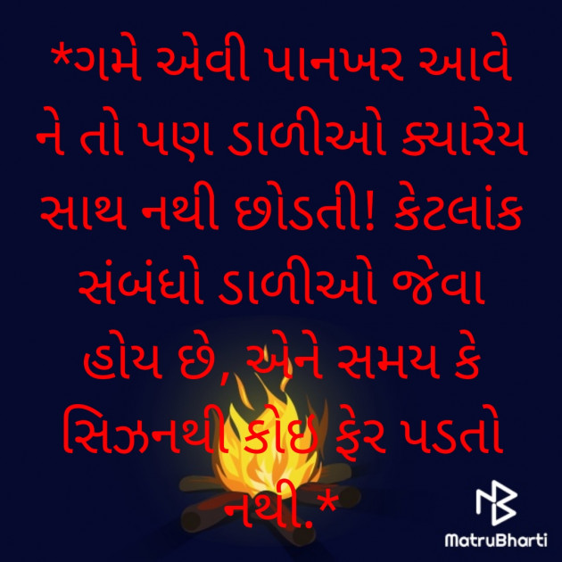 Gujarati Blog by Megha : 111857905