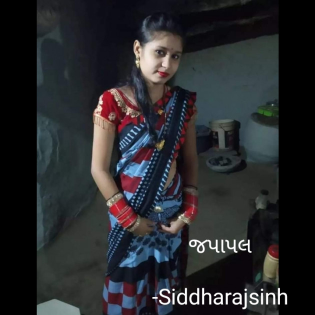 Gujarati Song by Siddharajsinh : 111858118