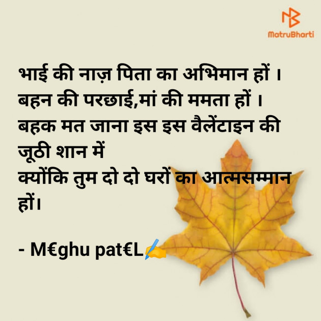 Hindi Whatsapp-Status by Meghu patel : 111858267